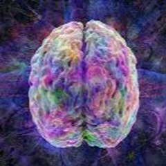 Too Much On My Mind