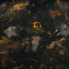 Finding Butterflies (Tony Rick Edit)