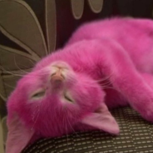 Stream pretty girl jersey mix by OJCO.J.C Listen online for free on