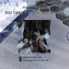 aeoxve x 琢磨5220 - tamacy world tour in japan (豪快edit)