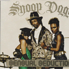 sensual seduction (refix)