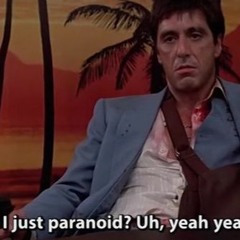 PARANOID - PARANOISE