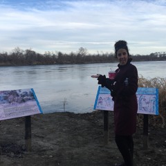 Tan My Hide Shut My  Mouth/ Told A  Whopper/ To My Wife