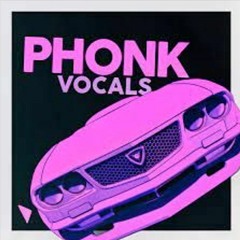 2024 SAMPLE VOICE ACAPELLA BRAZILIAN PHONK - AUTOMOTIVO TACA TACA / MAMACITA SEM PARAR - WZ BEAT