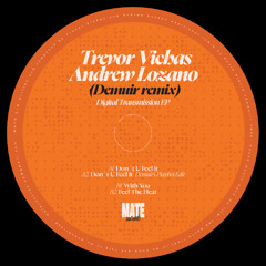 PREMIERE: Trevor Vichas, Andrew Lozano - Feel The Heat [MATE Records]