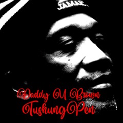 U Brown feat Jahails TushungPen Dubplate