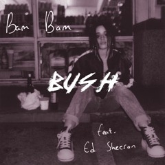 Camila Cabello - Bam Bam ft. Ed Sheeran (Bush Remix)