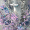 HABITAT EXPLORER 15 mixed by JUST IRIS DJ mix artwork - Electronic music tracklist cover image