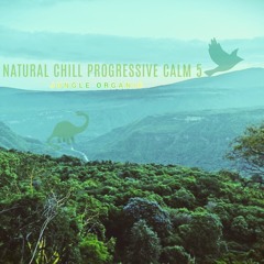 Natural Chill Progressive Calm 5 (Jungle Organic)