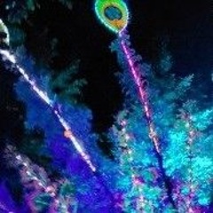 feel (org On-Key RitchieRich)