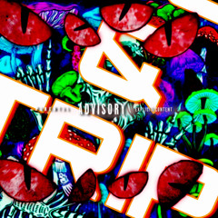TOOK_A_TRIP