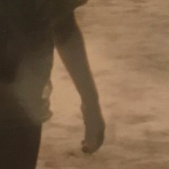 Exodis Femmes Moralis