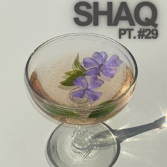 Live from Shaq Part #29
