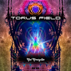 MadMorningstar TorusField