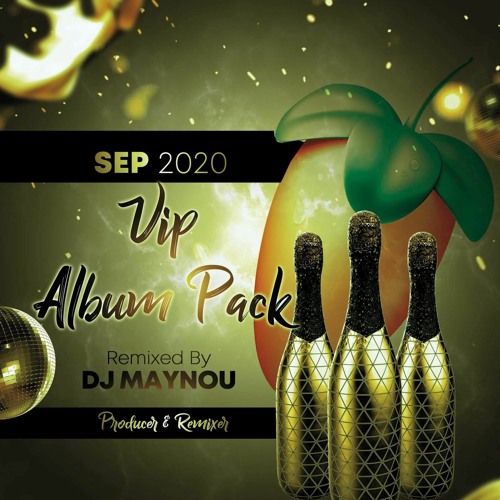 VIP ALBUM 2020 BEST MEMORIES AND NEW HITS