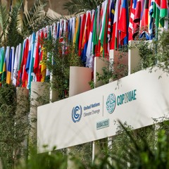 Assessing the Stakes of the UN Climate Conference