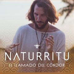 N Λ T U R R I T U – El Llamado del Cóndor (Hybrid DJ-SET / Folktronica / Organic Downtempo)