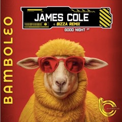 Premiere : James Cole - Good Night (BAM033)