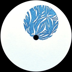 Crime Partners - Still Broke [LBRNM27]