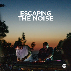 Escaping The Noise