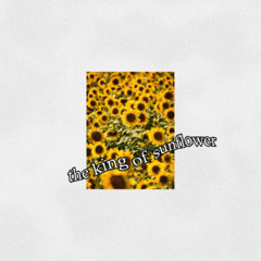 the king of sunflower