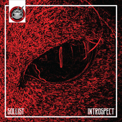 Sollist - Introspect [NeuroDNB Recordings]