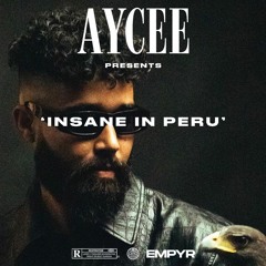 INSANE IN PERU (AP DHILLON, ED SHEERAN & MORE) | AYCEE | LATEST PUNJABI MIX 2022