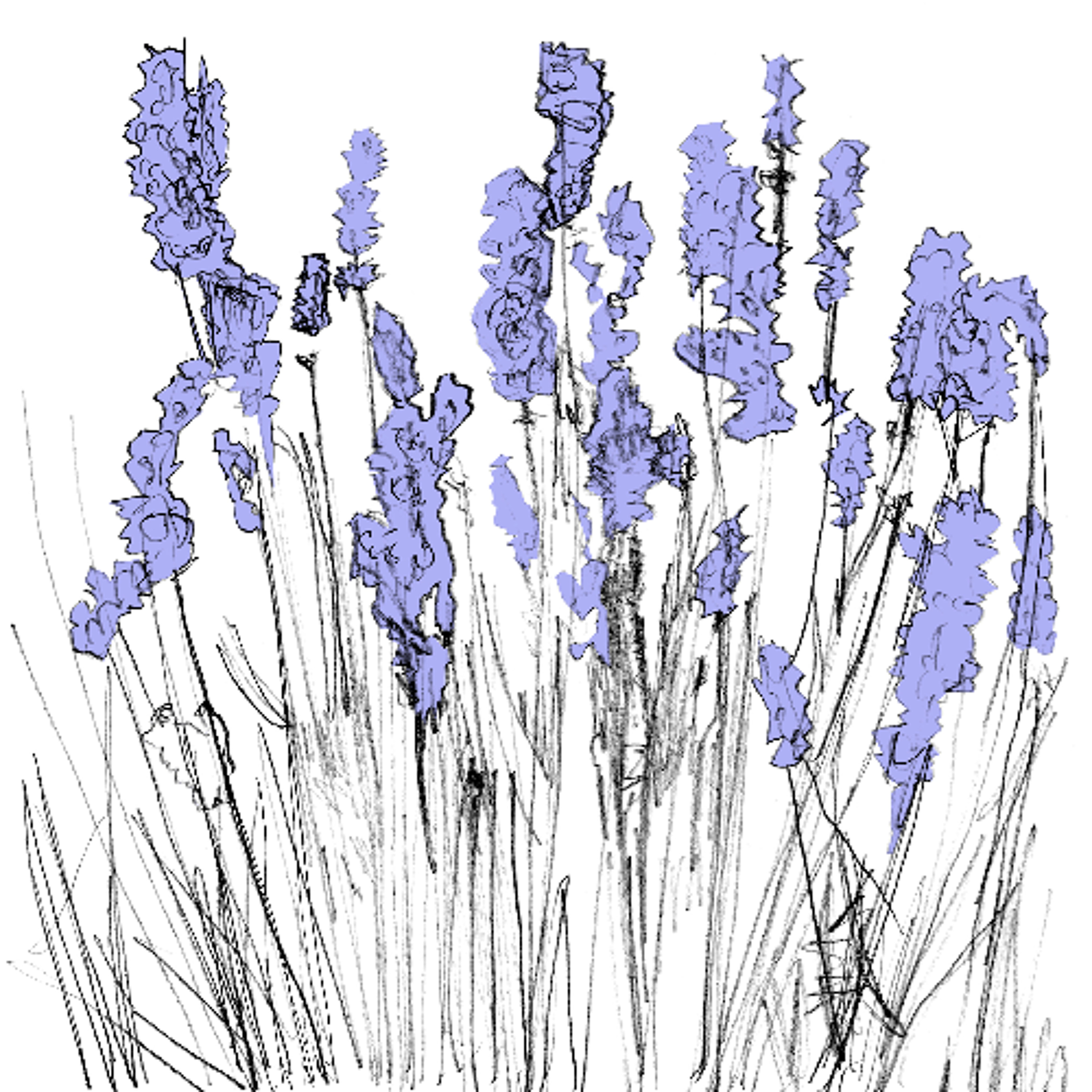 Premiere: Lapalace - new age night [Music To Watch Seeds Grow By] episode artwork