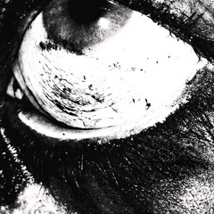 Bound To Misery (feat. AVOID)