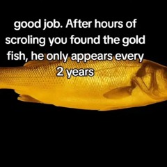 I Just Sat On My Balls