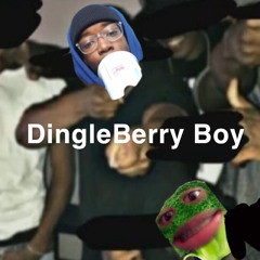 dingleberryboystfu