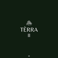 Organic House Mix - TERRA II (Dennis Cruz, Above & Beyond, Makebo, Hot Since 82, Volen Sentir)