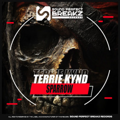 Terrie kynd - Sparrow (Original mix)