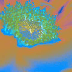 ViBrAtiOnAL GrOOvE