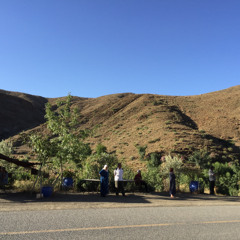 jazzy cosmic housemix