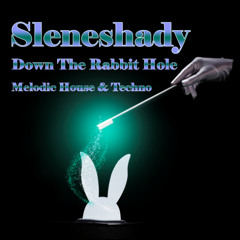 111. Down the Rabbit Hole - Melodic House & Techno