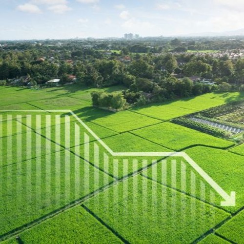 Stream episode Comment calculer le prix d'un terrain au pied carré en 2023 ? by Soumissions Stream episode Comment calculer le prix d'un terrain au pied carré en 2023 ? by Soumissions