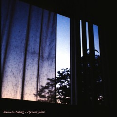 Ruissalo Amping: Hyvään yöhön (radio edit)