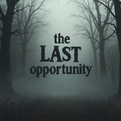 The Last Opportunity