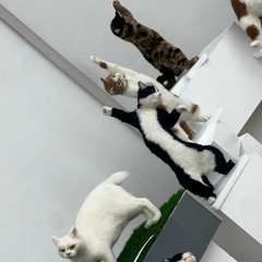 니가 나의 전부 라는걸 demo