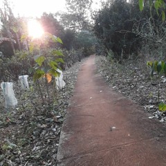 26.07.2022 - Cap. XII - Amai os Vossos Inimigos - Pagar o Mal com o Bem (8)