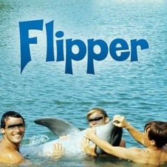 High auf Flipper