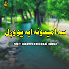 داده احساس