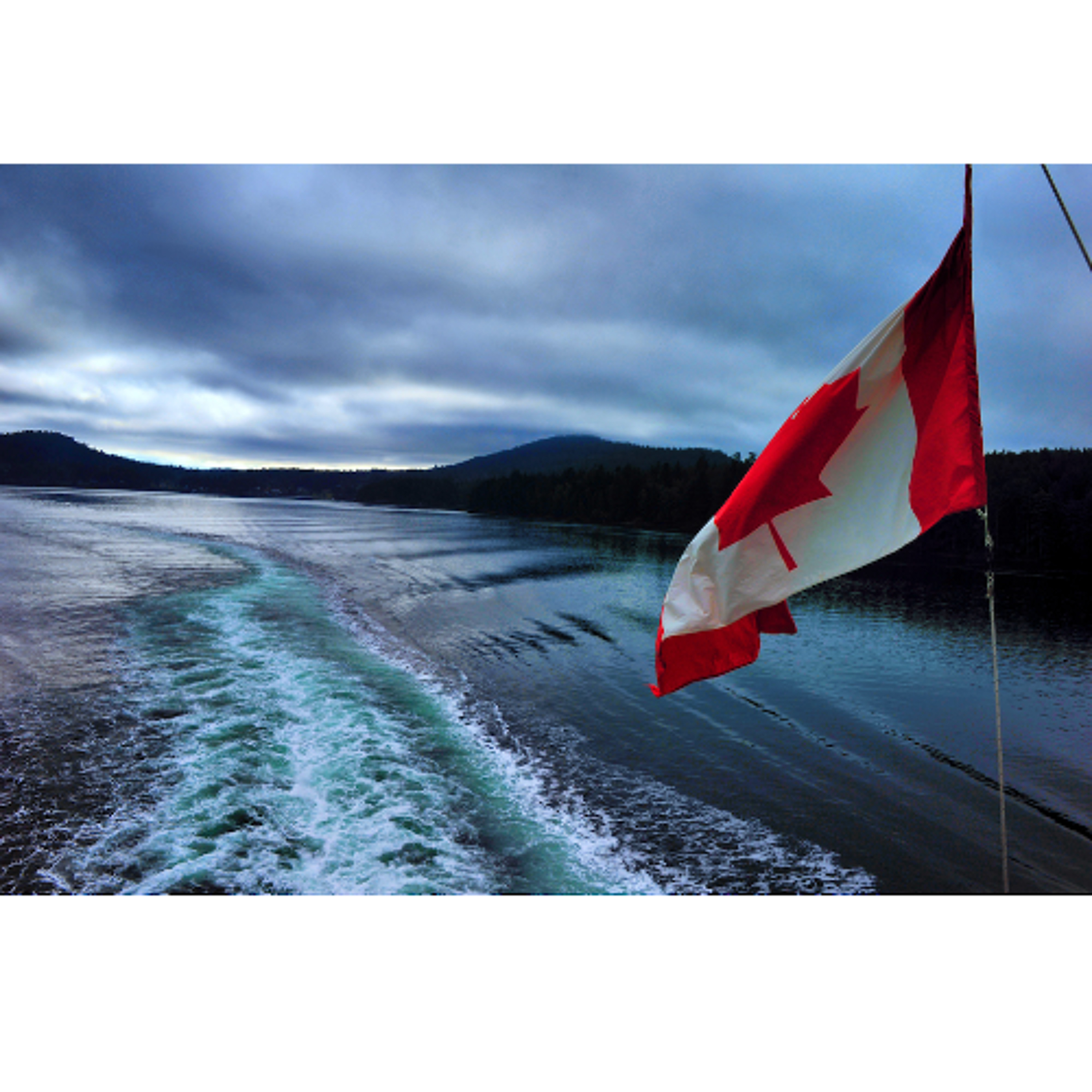 Campaign Stories From North Island Powell River