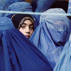 شب‌های بی‌ترانه