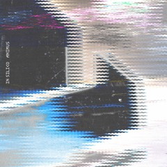 In Silico - Animus (Original Mix)