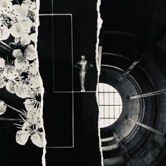 Vito Lucente - Die Robots 05 (Geraeuschmanufaktur)