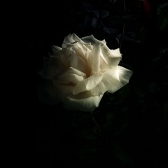 Lumina Éternelle ( Eternal Light )