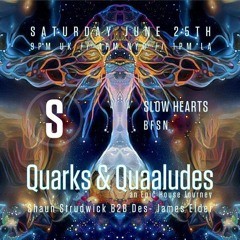 Quarks & Quaaludes - Q&Q June 2022 - BFSN