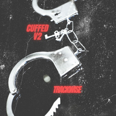 T-Pain x YG - Can't Believe Shit (TRACKWISE blend)